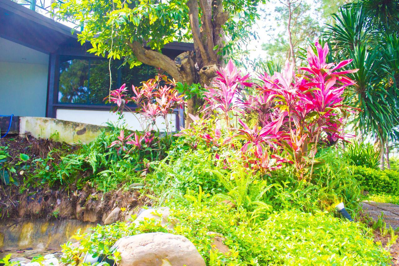 Bird Land Resort Khao Kho Eksteriør bilde