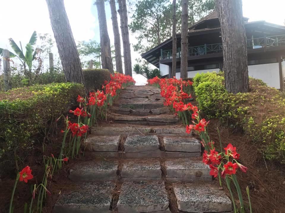 Bird Land Resort Khao Kho Eksteriør bilde